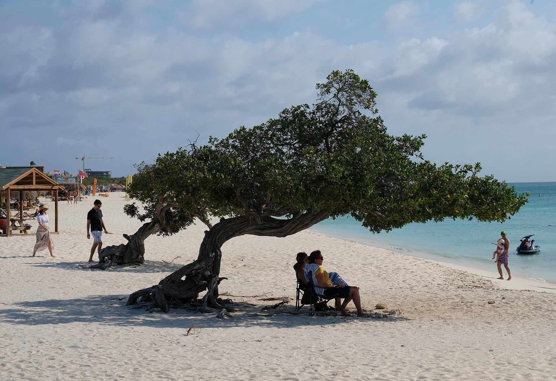 Eagle Beach auf Aruba