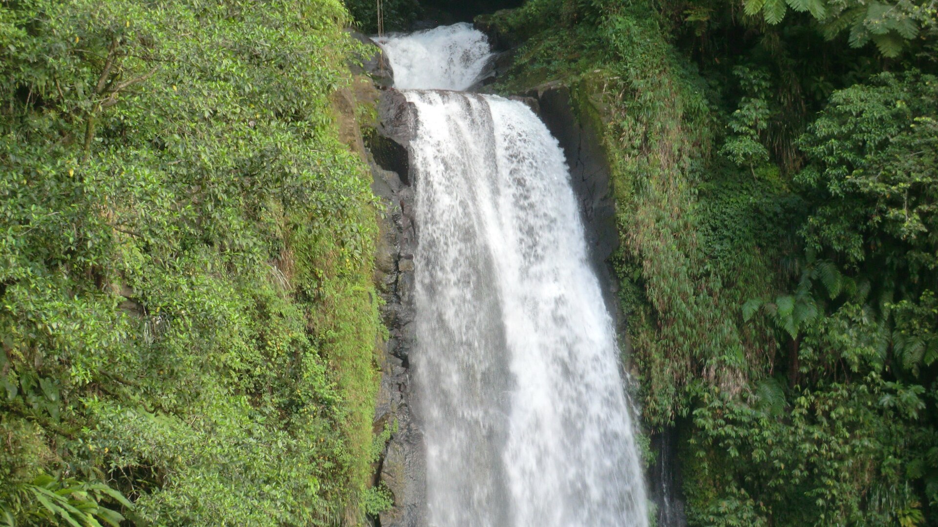 Die Trafalgar Falls, Dominica